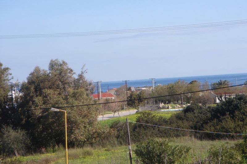 Butterfly Studios, פליראקי מראה חיצוני תמונה